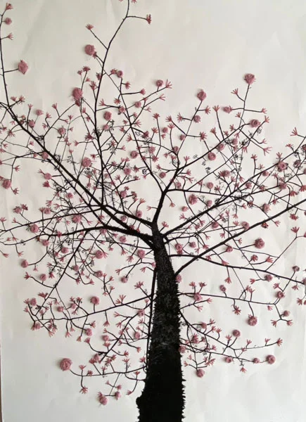 Ipê Rosa por Patrícia Saraiva