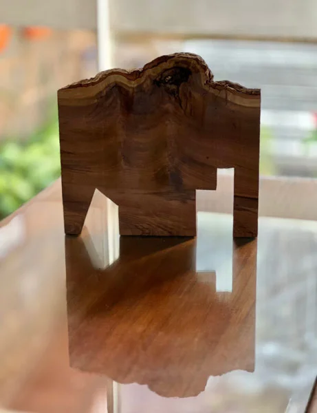 Série “Em louvor da sombra” por Pedro Maciel