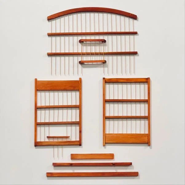 Série “tangará” por Pedro Maciel